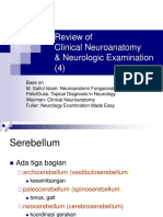 Cerebellum