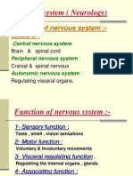 Nervous System (Neurology)