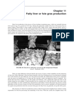 Fatty Liver or Foie Gras Production