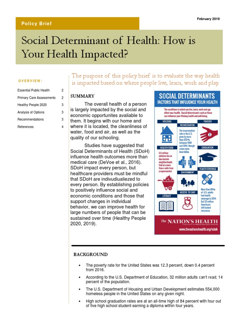 Policy Brief PDF Public Health Health Care