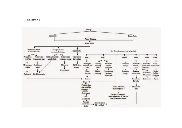 PATHWAY | PDF