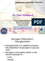 Glycogen Metabolism.ppt