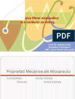Proprietati Mecanice Ale Cordului AV PDF