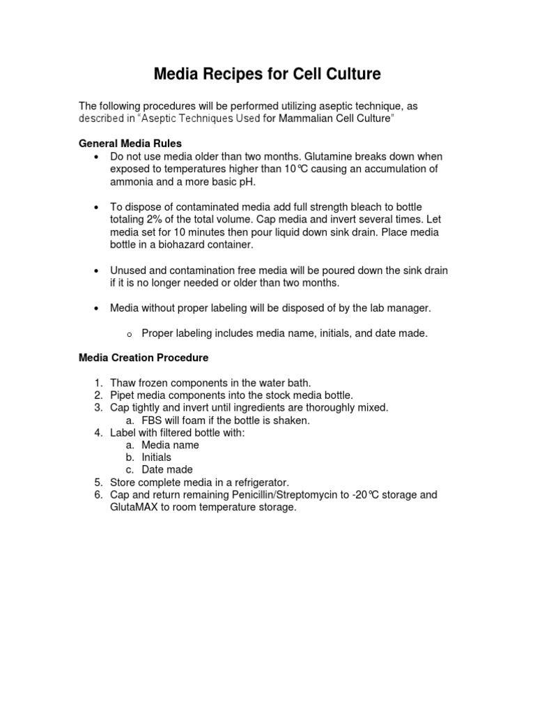 Media Plan | PDF