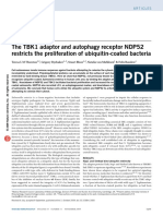 NDP52 and autophagy and ub-coated bacteria.pdf