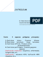 13 0 Clostridium