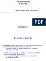 NeuroanatI 5 Szomatoszenzor 190312 PDF