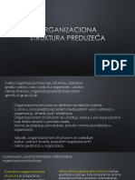 Organizaciona Struktura Preduzeca