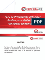 Ley de Presupuesto 2019 - 30879 - Principales Lineamiento DEFINITIVO PDF