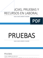 Audiencias, Recursos y Pruebas en Laboral