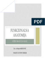 Funkcionalna Anatomija - Vežbe Snage Za Noge PDF