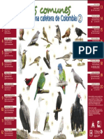 Afiche Aves Comunes Zona Cafetera 2