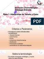 Clase 8 Revision de Lamina Periferica