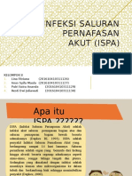 Infeksi Saluran Pernafasan Akut (Ispa)