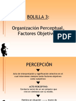 leyes-inestabilidad_perceptual_1-_2013-09-12-779