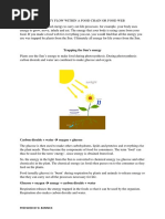 Energy Flow in Food Chains