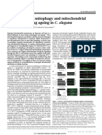 Palikaras2015 PDF