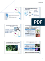 Grupo 3 y 4 Análisis microbiológico del agua diseño e coli.pdf