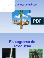 Produção de Alcool