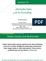 13 Multimedia Data and Its Encoding a Mod