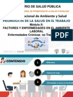 Promocion Modulo Ii PDF