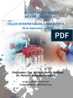 Programa Gasometria PDF