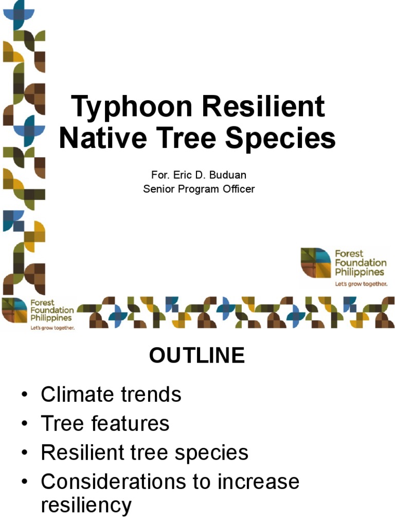 Typhoon-Resilient Tree Species in the Philippines | PDF | Typhoon ...