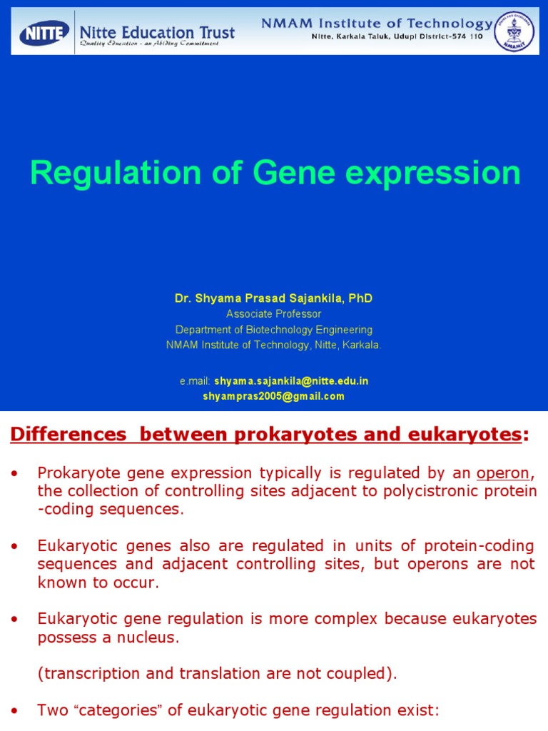 Gene Regulation - 2018 PDF | PDF | Operon | Regulation Of Gene Expression