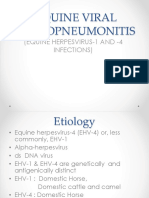 Equine Viral Pneumonitis- Ksg