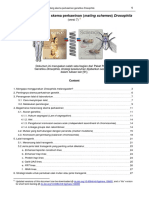 PanduanGenetikaDrosophilav7 PDF
