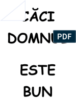 CAI DOMNUL....pdf