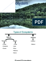Forest Ecosystem