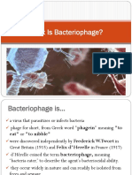 What Is Bacteriophage?