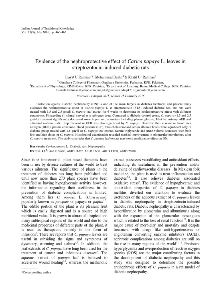Kidney Papaya Extract PDF Renal Function Creatinine