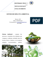 Estudo de Impacto Ambiental: Departamento de Ciencias Sociais E Filosoficas Lienciatura em Direito