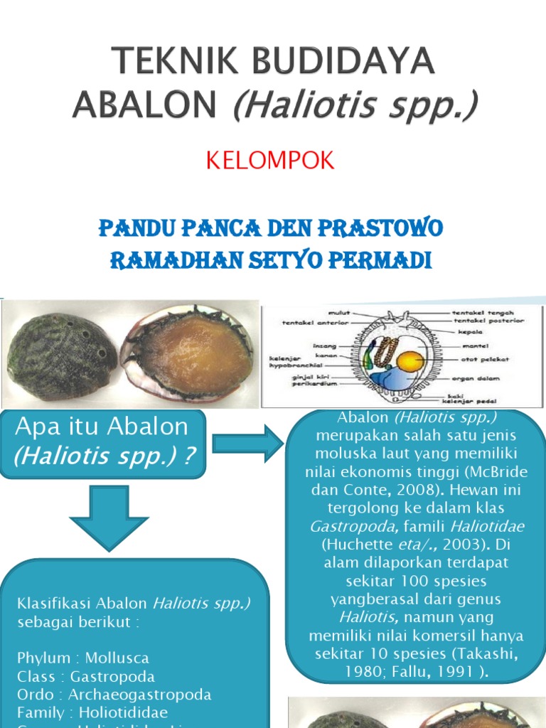 Budidaya dan Karakteristik Abalon | PDF