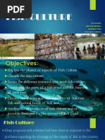 Fish Capture Methods and Tools | PDF | Equipment | Outdoor Recreation