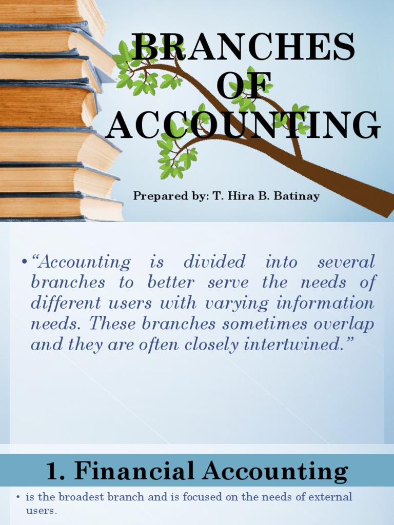 Branches of Accounting PDF Accounting Audit