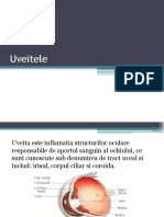 Uveitele