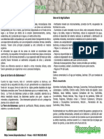 Diatomeas.pdf