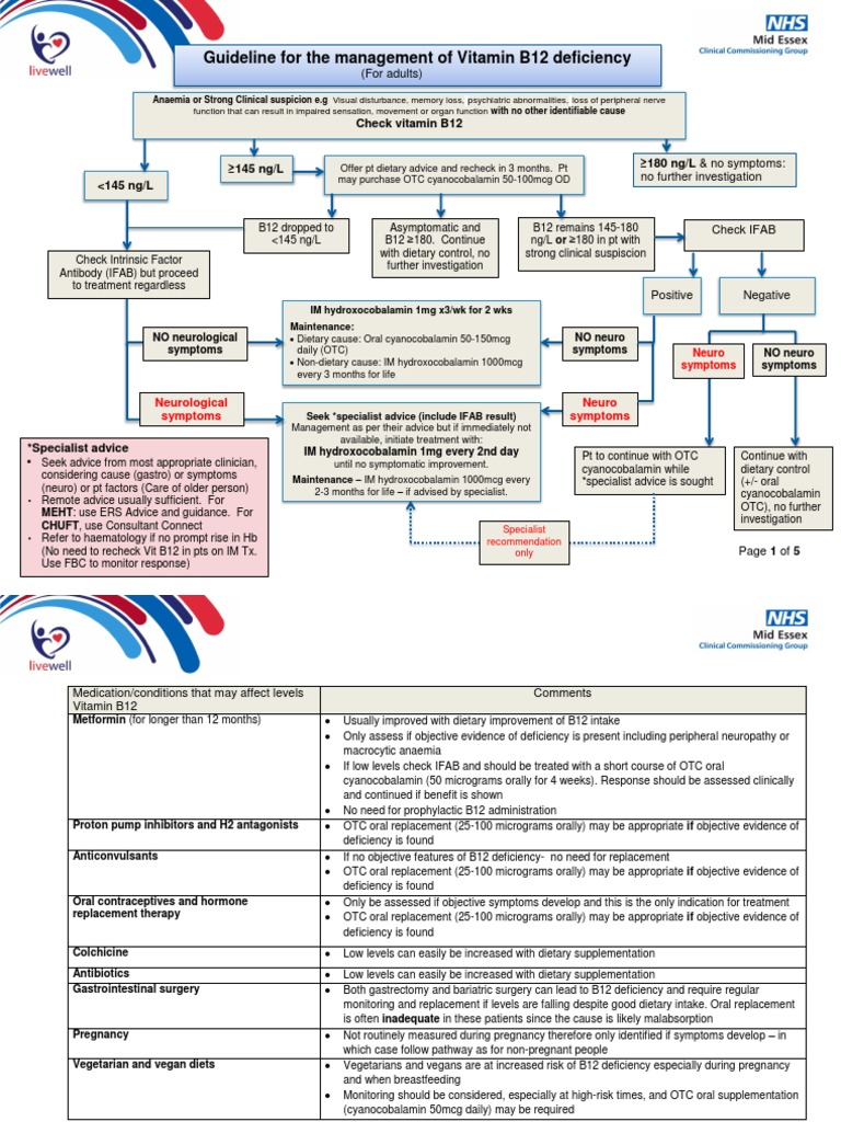 Guideline for the Management of Vitamin B12 Deficiency A Comprehensive