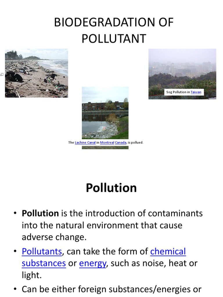 Biodegradation of Pollutant | PDF | Pollution | Environmental Issues