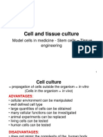 Cell and Tissue Culture: Model Cells in Medicine - Stem Cells - Tissue Engineering