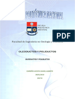 Informe Proyecto OCP - Carreño Daniel.docx