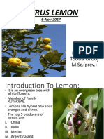 Presentation On Lemon