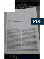 PDF - Verbete Labirinto PDF