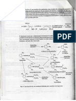 Metabolismo dos farmacos cont..pdf