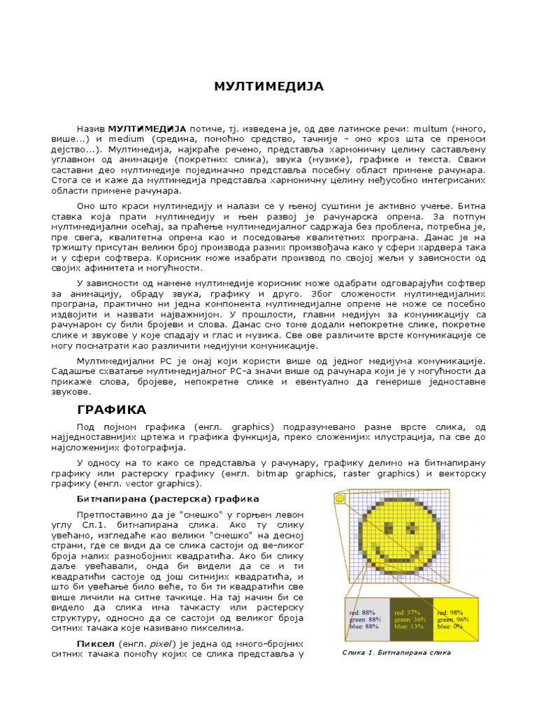 Informatika - Multimedija | PDF