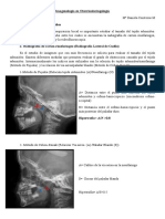244164573-ADENOIDES-pdf.pdf