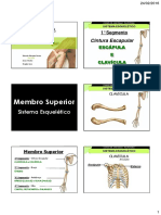 Curso Anatomia Palpatoria Clavícula e Escápula